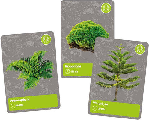 Clementoni Science & Jeu L'histoire de la vie sur Terre Réalité Virtuelle