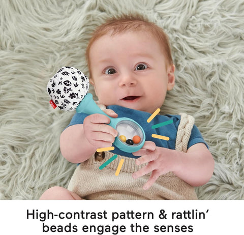Fisher-Price Baby Rattle ‘n Rock Maracas