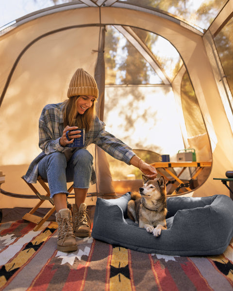 Intex Inflatable Pet Bed With Hand Pump Small 78x58x22cm