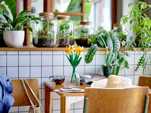 LEGO - Creator Daffodils 40747 216 Pieces