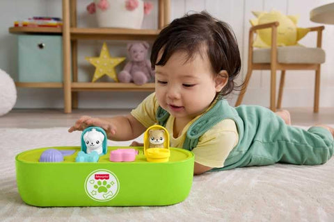 Fisher-Price Fp Pets Fine Motor Pop-Up
