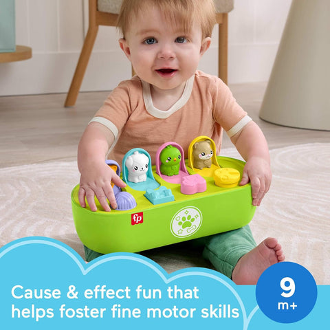 Fisher-Price Fp Pets Fine Motor Pop-Up