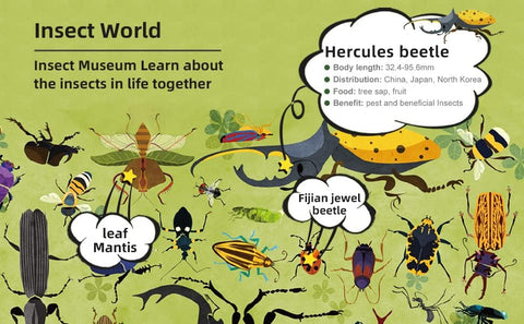 Mideer Let's Learn Insect World Puzzle 126 Pieces