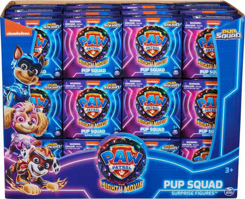 Paw Patrol The Mighty Movie Pup Squad Surprise Figure