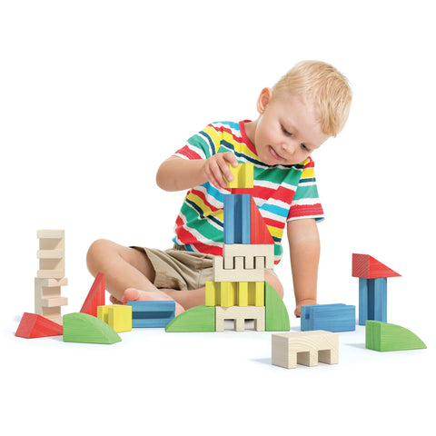 Quercetti Toytown Building Blocs 22 Pieces