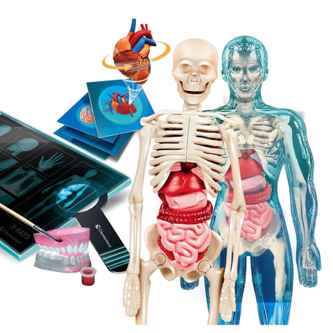 Science & Jeu L'Anatomie