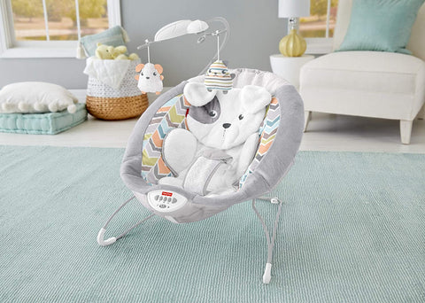 Sweet Snugapuppy Deluxe Bouncer