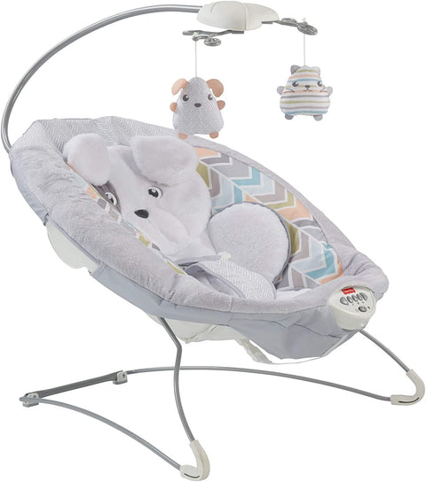 Sweet Snugapuppy Deluxe Bouncer