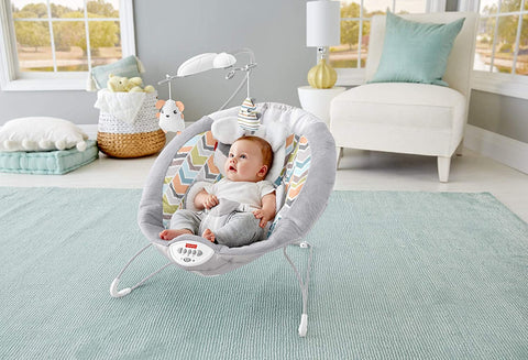 Sweet Snugapuppy Deluxe Bouncer