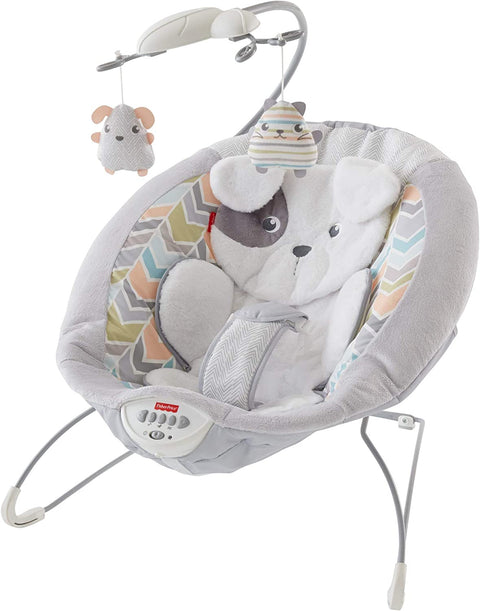 Sweet Snugapuppy Deluxe Bouncer